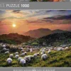 Puzzle Alexander von Humboldt: Ovelhas e Vulcões