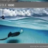 Puzzle Alexander von Humboldt: Ilhas Cayman