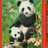 Puzzle Almoço Panda