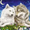 Puzzle Amigos lobos fofinhos