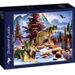 Puzzle And New Dawn