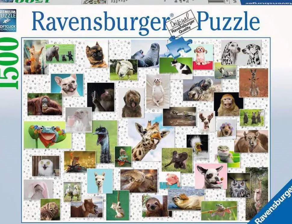 Puzzle Animais de estimação divertidos