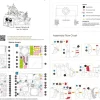 Puzzle Apollo CSM com LM 3D