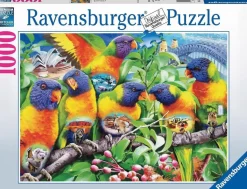 Puzzle A terra de Lorikeet