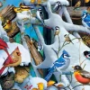 Puzzle Aves da Neve