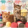 Puzzle Balls of Fluff