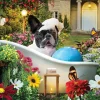 Puzzle Banho de espuma no jardim