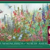 Puzzle Beija-flores da América do Norte