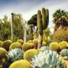 Puzzle Belos Jardins: Huntington Garden, EUA