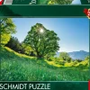 Puzzle Bordo Sycamore à luz do sol