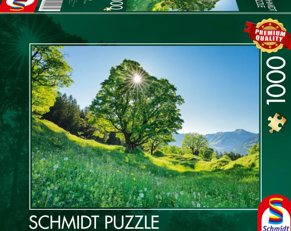 Puzzle Bordo Sycamore à luz do sol