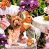 Puzzle Brotos e flores