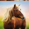 Puzzle Cavalo ao amanhecer