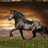 Puzzle Cavalo de trote