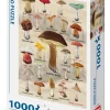 Puzzle Cogumelos