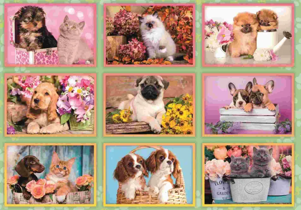 Puzzle Colagem de filhotes