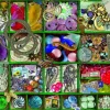 Puzzle Coleção Verde