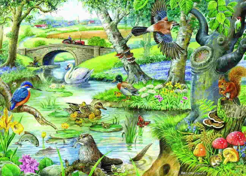 Puzzle Contos do rio