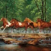 Puzzle Corrida de Spring Creek