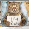 Puzzle Criminoso Felino