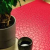 Puzzle Cripta rosa