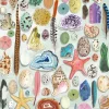 Puzzle Curiosidades naturais