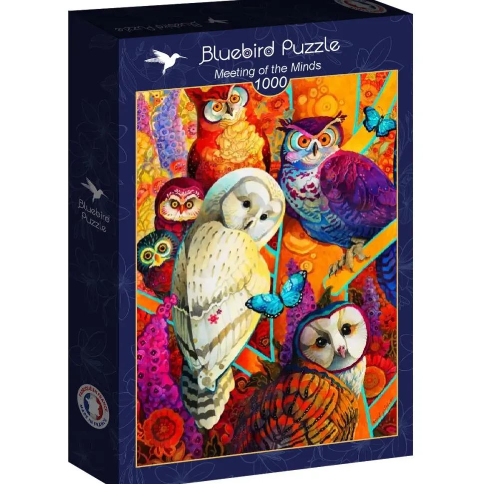 Puzzle David Galchutt: Encontro de Mentes
