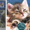 Puzzle Diamante Pintura Gatinho com uma bola 30x40cm