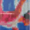 Puzzle Diamond Painting Baletka medzi labu钮ami 30x40cm