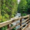 Puzzle Diamond Painting Ponte de madeira na floresta 30x40cm
