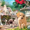 Puzzle Esconde-esconde