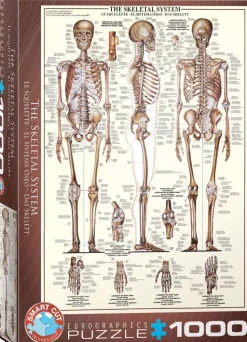 Puzzle Esqueleto 1