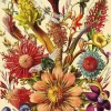 Puzzle Fairytale bouquet