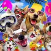 Puzzle Festa de Selfie na Praia