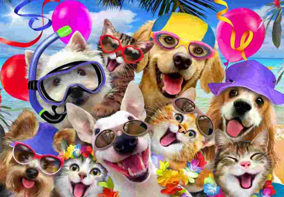 Puzzle Festa de Selfie na Praia