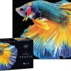 Puzzle Fish
