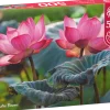 Puzzle Flores de lótus rosa