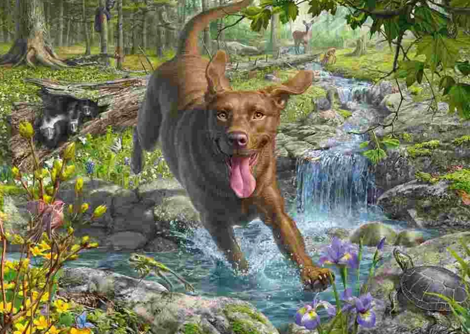 Puzzle Fredrickson: Retriever na primavera