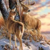 Puzzle Fuga