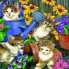 Puzzle Garden Mischief