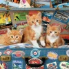 Puzzle Gatinhos itinerantes