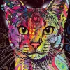 Puzzle Gato abissínio