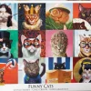 Puzzle Gatos engraçados
