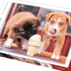 Puzzle Hora de gelo