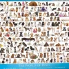 Puzzle Hundwelt