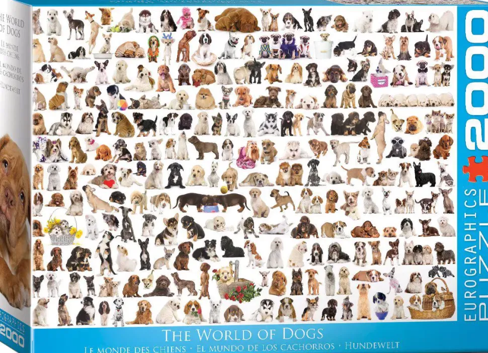 Puzzle Hundwelt