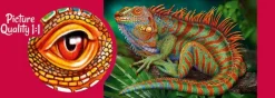 Puzzle Iguana incrível