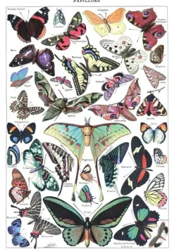 Puzzle Ilustração de Larousse pour Tous : Borboletas
