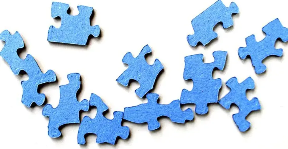 Puzzle Jardim de Suculentas