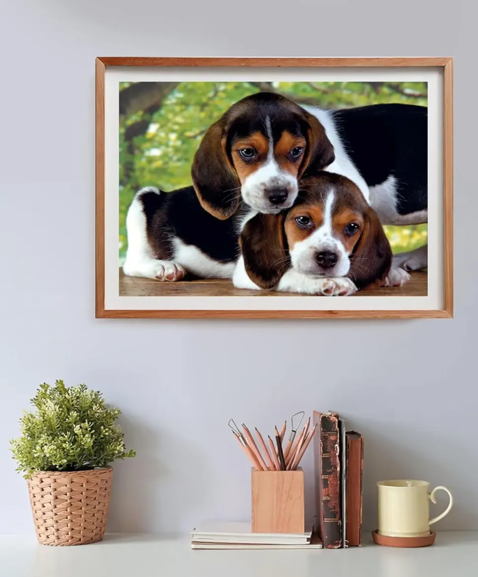 Puzzle Juntos 500